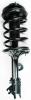 1331900L Suspension Strut and Coil Spring Assembly - image 1