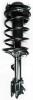 1331900R Suspension Strut and Coil Spring Assembly - image 1