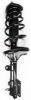 1331901L Suspension Strut and Coil Spring Assembly - image 1