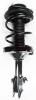 1331911L Suspension Strut and Coil Spring Assembly - image 1