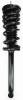 1332302 Suspension Strut and Coil Spring Assembly - image 1
