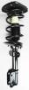 1332304R Suspension Strut and Coil Spring Assembly - image 1