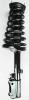 1332306L Suspension Strut and Coil Spring Assembly - image 1