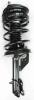 1332311R Suspension Strut and Coil Spring Assembly - image 1