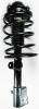 1332316L Suspension Strut and Coil Spring Assembly - image 1