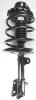 1332316R Suspension Strut and Coil Spring Assembly - image 1