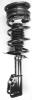 1332317 Suspension Strut and Coil Spring Assembly - image 1