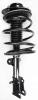 1332319L Suspension Strut and Coil Spring Assembly - image 1