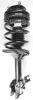 1332325R Suspension Strut and Coil Spring Assembly - image 1