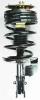 1332336 Suspension Strut and Coil Spring Assembly - image 1