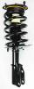 1332343 Suspension Strut and Coil Spring Assembly - image 1