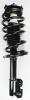 1332344 Suspension Strut and Coil Spring Assembly - image 1