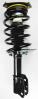 1332348 Suspension Strut and Coil Spring Assembly - image 1