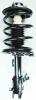 1332350R Suspension Strut and Coil Spring Assembly - image 1