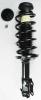 1332354 Suspension Strut and Coil Spring Assembly - image 1