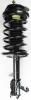 1332365R Suspension Strut and Coil Spring Assembly - image 1