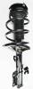 1332368R Suspension Strut and Coil Spring Assembly - image 1