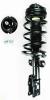 1333290 Suspension Strut and Coil Spring Assembly - image 1