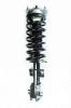 1333298 Suspension Strut and Coil Spring Assembly - image 1