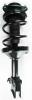 1333307R Suspension Strut and Coil Spring Assembly - image 1