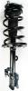 1333319L Suspension Strut and Coil Spring Assembly - image 1