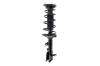 1333330R Suspension Strut and Coil Spring Assembly - image 1