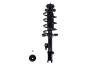 1333332L Suspension Strut and Coil Spring Assembly - image 1