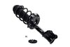 1333332L Suspension Strut and Coil Spring Assembly - image 2