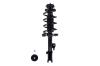 1333332R Suspension Strut and Coil Spring Assembly - image 1