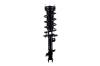 1333356L Suspension Strut and Coil Spring Assembly - image 1