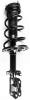 1333376R Suspension Strut and Coil Spring Assembly - image 1