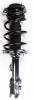 1333386L Suspension Strut and Coil Spring Assembly - image 1