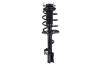 1333393L Suspension Strut and Coil Spring Assembly - image 1