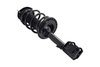 1333393L Suspension Strut and Coil Spring Assembly - image 2