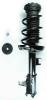 1333414L Suspension Strut and Coil Spring Assembly - image 1