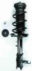 1333414R Suspension Strut and Coil Spring Assembly - image 1