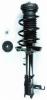 1333415R Suspension Strut and Coil Spring Assembly - image 1