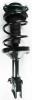 1333431R Suspension Strut and Coil Spring Assembly - image 1
