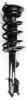 1333447L Suspension Strut and Coil Spring Assembly - image 1