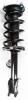 1333447R Suspension Strut and Coil Spring Assembly - image 1