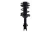 1333459L Suspension Strut and Coil Spring Assembly - image 1