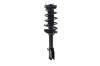 1333460R Suspension Strut and Coil Spring Assembly - image 1