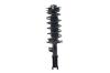 1333468R Suspension Strut and Coil Spring Assembly - image 1