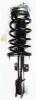 1333472 Suspension Strut and Coil Spring Assembly - image 1