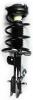 1333476R Suspension Strut and Coil Spring Assembly - image 1