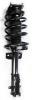 1333488 Suspension Strut and Coil Spring Assembly - image 1