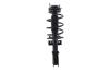 1333490 Suspension Strut and Coil Spring Assembly - image 1