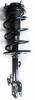1333491L Suspension Strut and Coil Spring Assembly - image 1