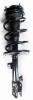 1333491R Suspension Strut and Coil Spring Assembly - image 1