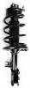 1333496R Suspension Strut and Coil Spring Assembly - image 1